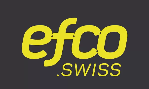 EFCO Befestigungstechnik AG